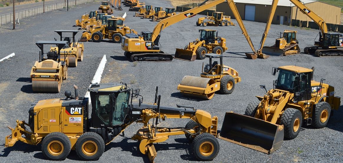 Read more about the article 12 Most Popular Cat Parts to Have on Hand